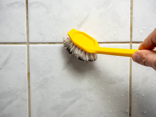 Trusted Eatonton, GA Mold Removal Experts