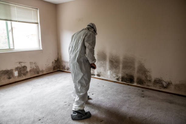 Mold Removal and Inspection in Eatonton, GA